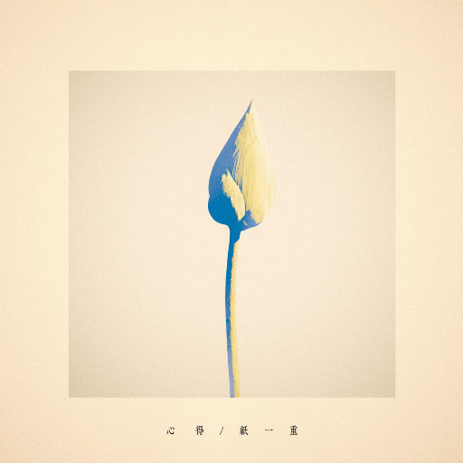 中国女人内㓔视频A
